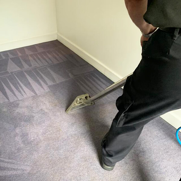 Steam carpet cleaning